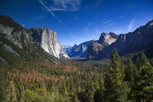 Tunnel View of Yosemite and bark beetle infestation damage. October 2016 by Aleta Rodriguez.
