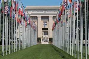 United Nations by John Samuel