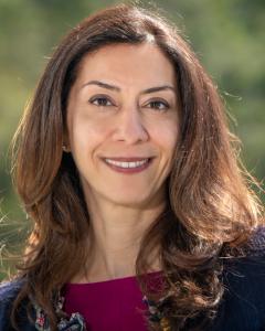 Newsha K. Ajami 